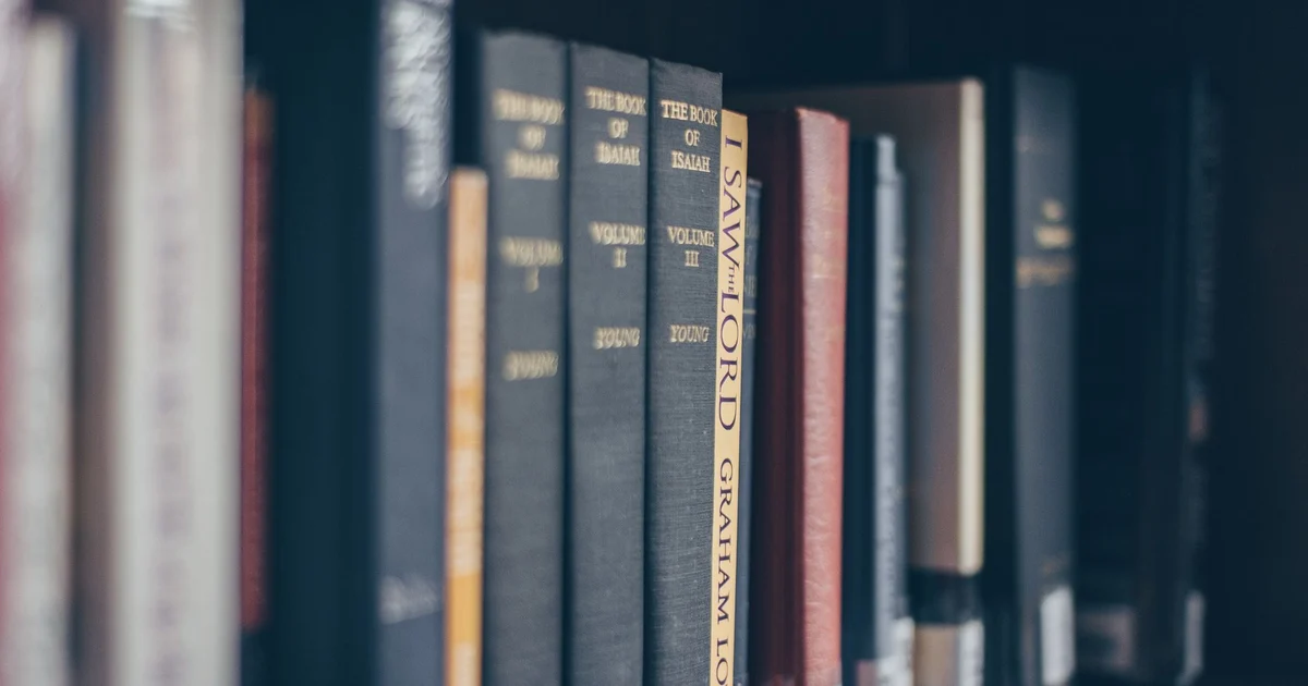 Foto ilustrativa de livros em uma estante; não mostra a interface da BibliON.