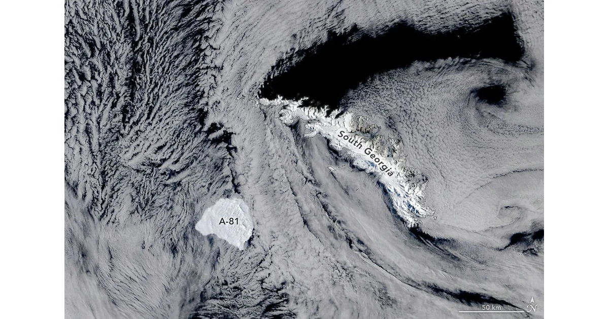 Imagem do documento primário da NASA sobre Iceberg A‑81 chega a Ilhas South Georgia.