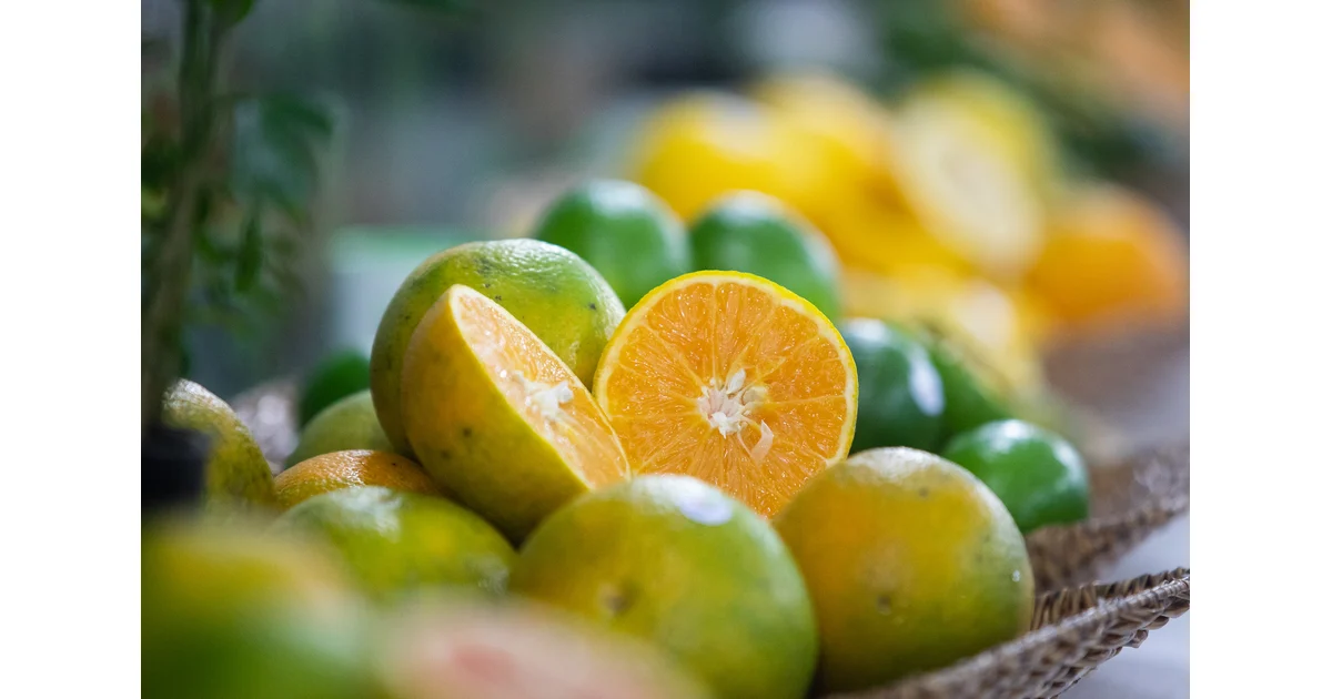 São Paulo produz 80% das laranjas no país; conheça a história e as curiosidades da fruta — imagem divulgada pela fonte.